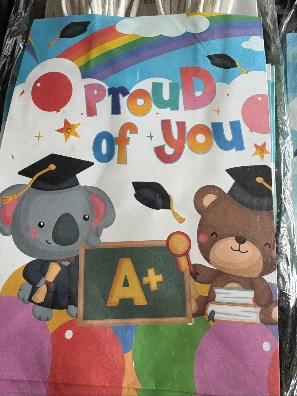 Graduation Gift Bags 42 count
